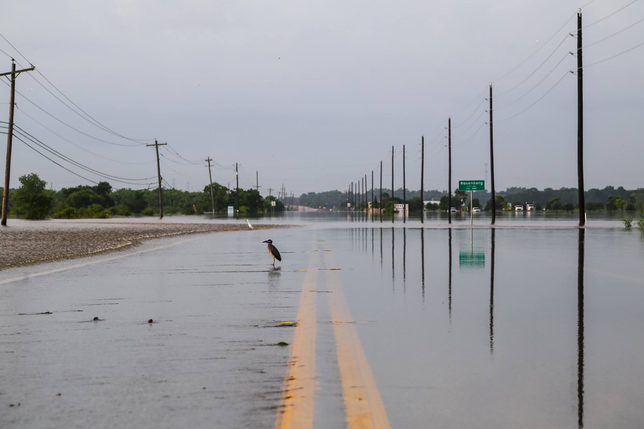 memorial flood 2016