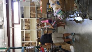 Helping Hands 2016 (7)